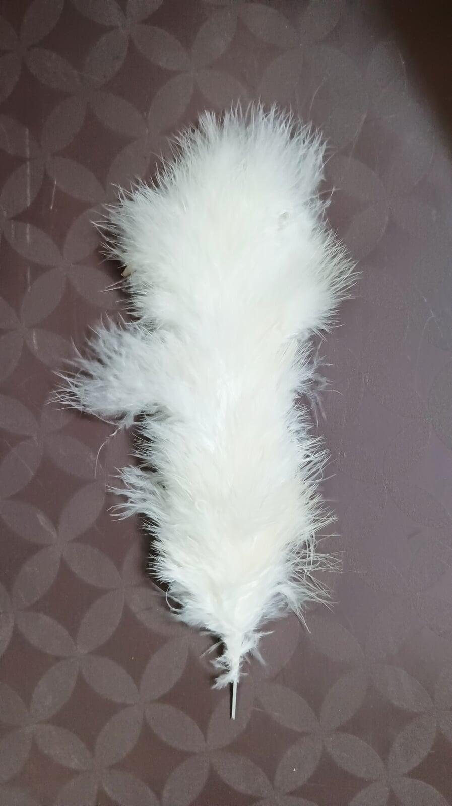 feather for nikah pen